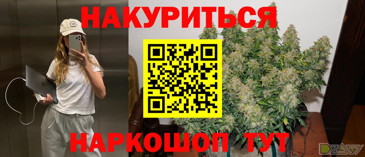 Конопля OG Kush  Канабис планчик  Вход с VPN  Киселёвск 